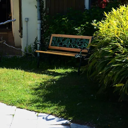 La Passerelle De La Doller *